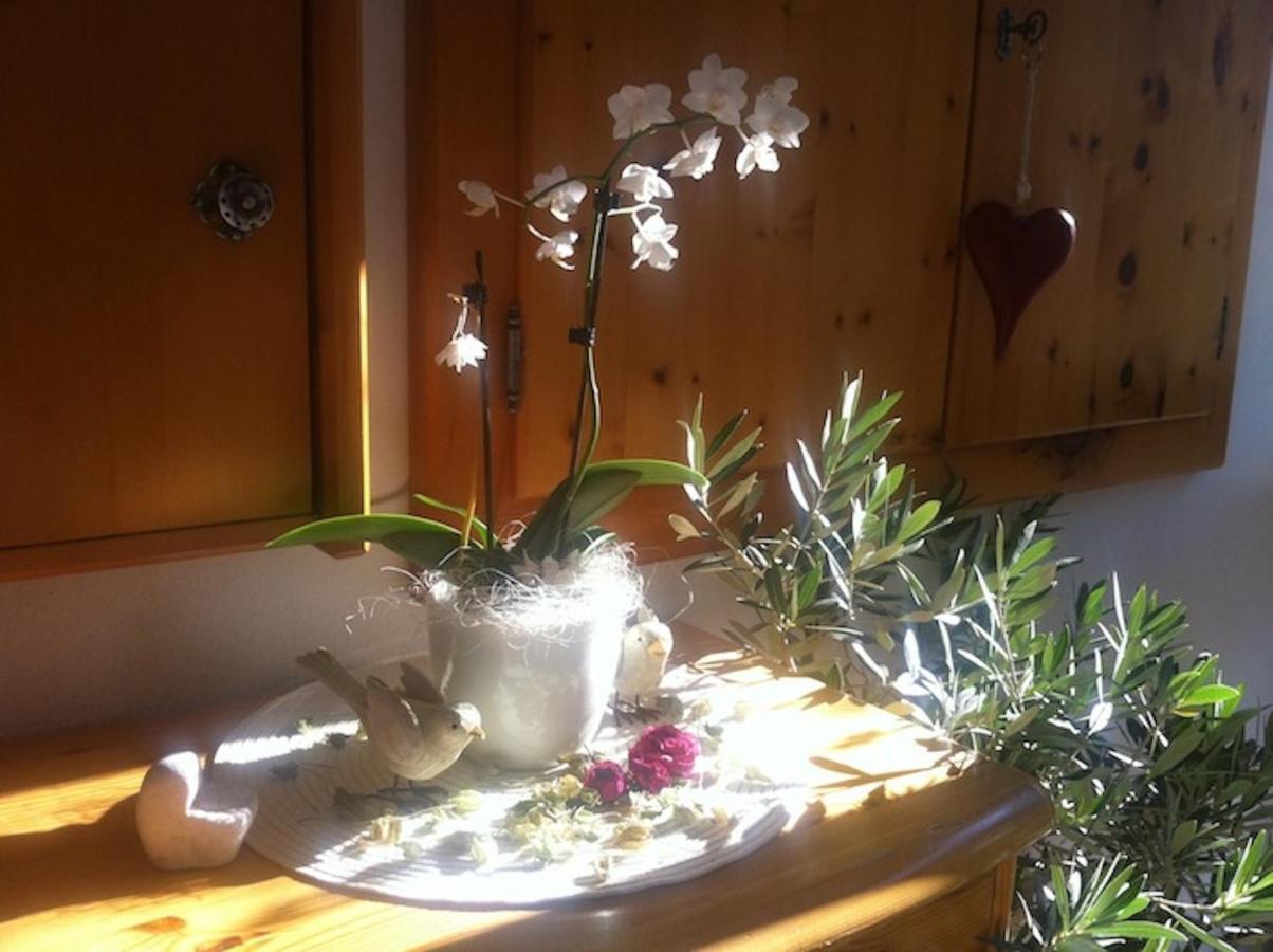 Pension Und Apartment Edelweiss Heiligenblut Esterno foto